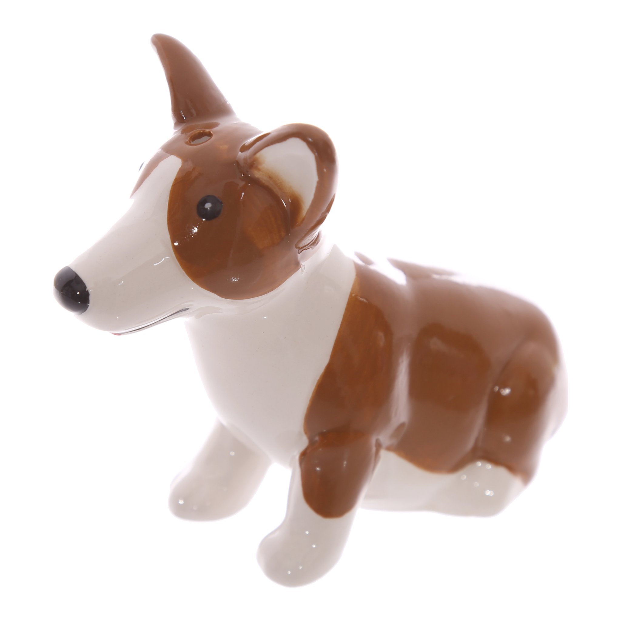 Corgi-Streuer stehend von der Seite