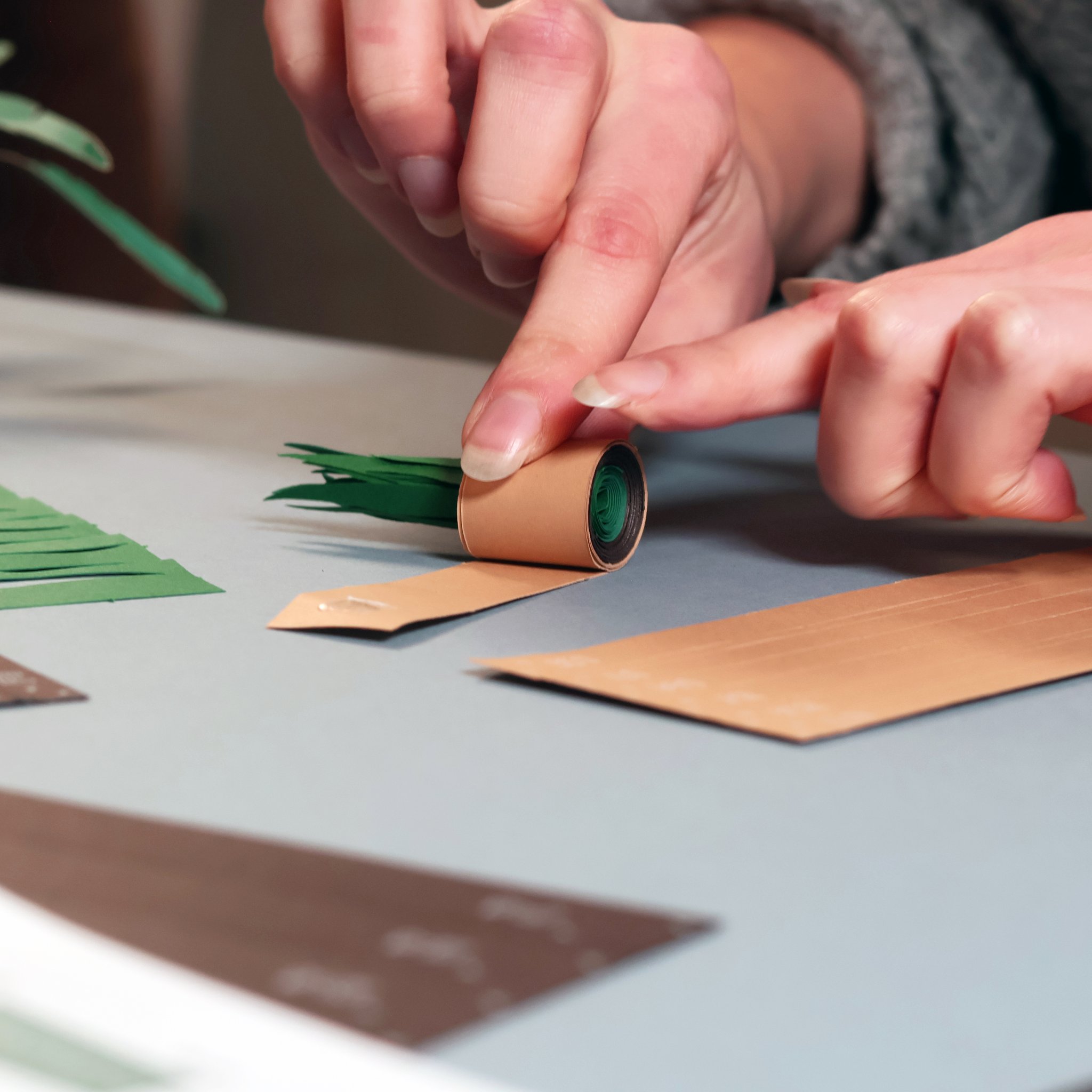 Paper Plants Origami-Set – Papierpflanze wird gerollt