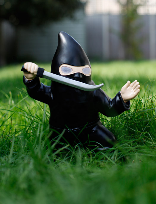 Ninja Gnome