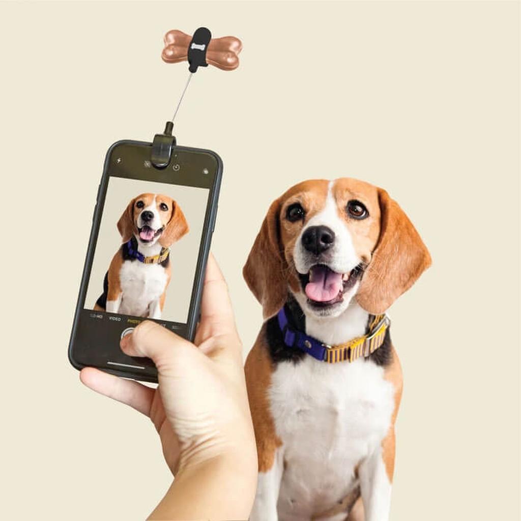Selfie-Gadget für Hunde