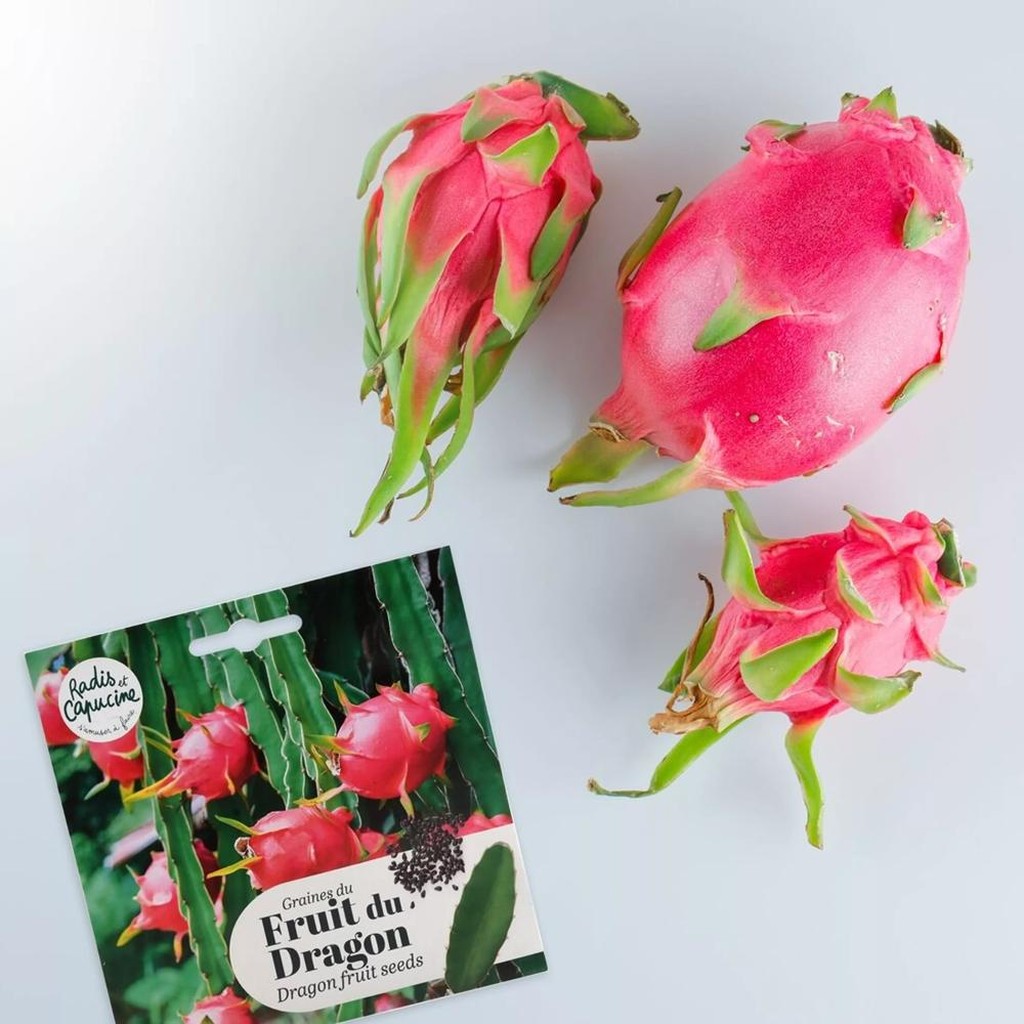 Graines de Fruit du Dragon
