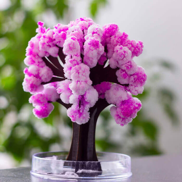 Arbre Sakura Magique