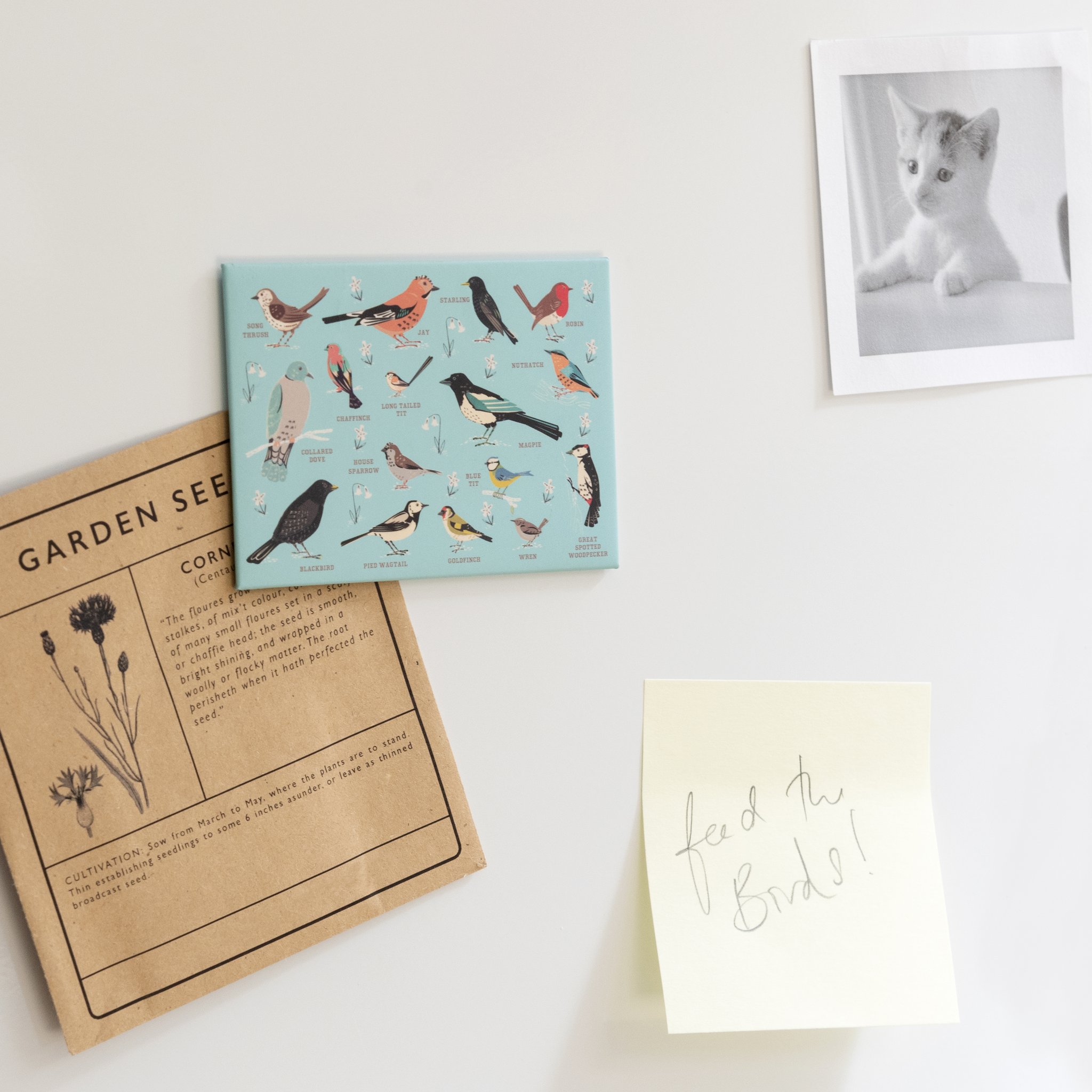 Garden birds magnet on the fridge next to seed packet, photo and 'Feed the Birds' note