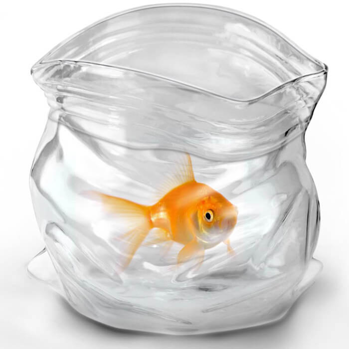 Conteneur en Verre en Forme de Sachet Zip