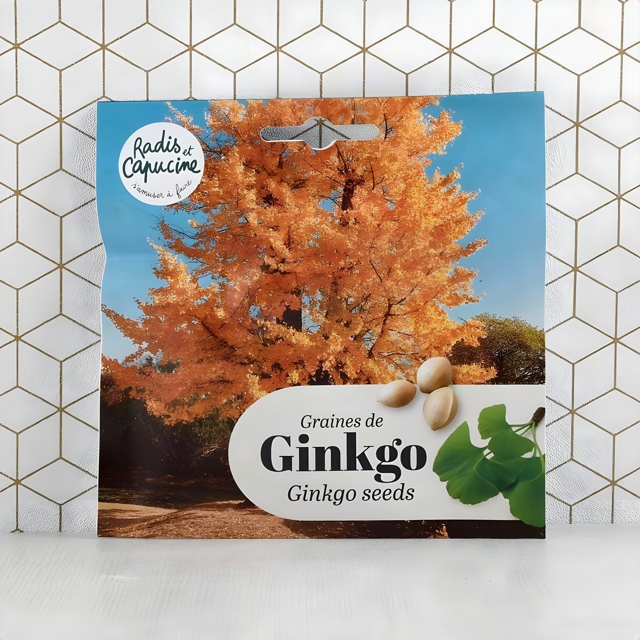 Graines de Gingko Biloba