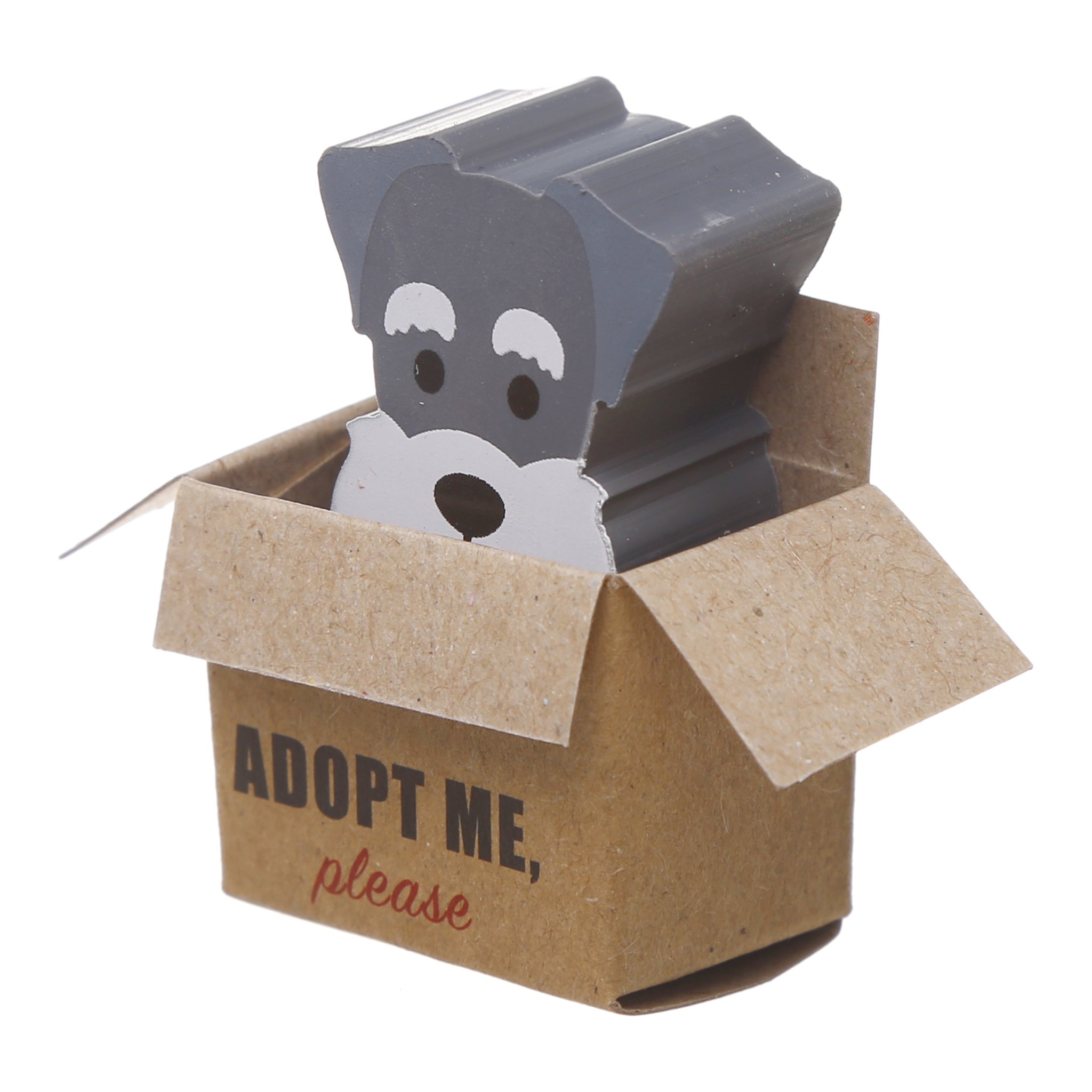 Schnauzer-Radiergummi in der «Adopt me»-Schachtel