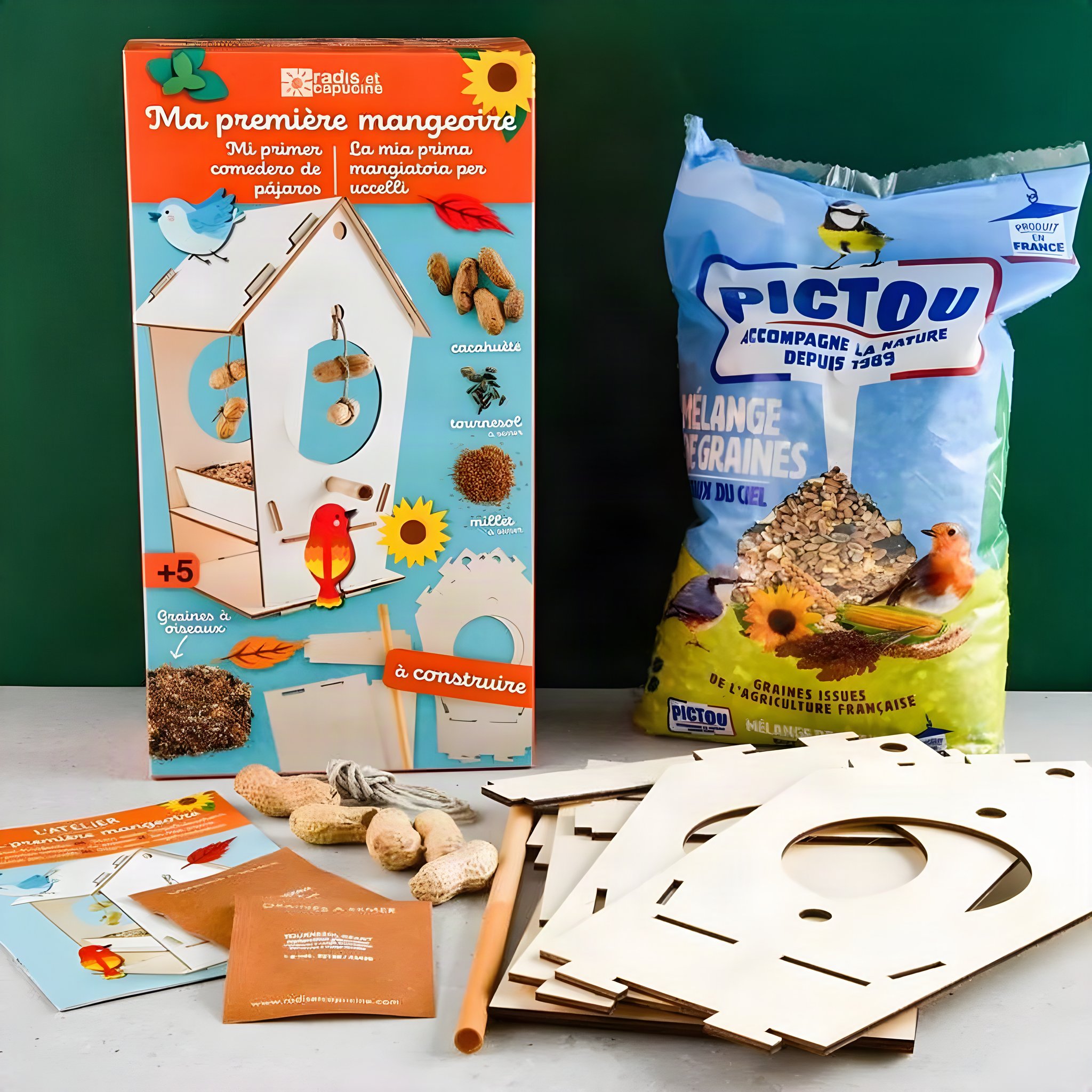 Mon premier nichoir – Kit de bricolage
