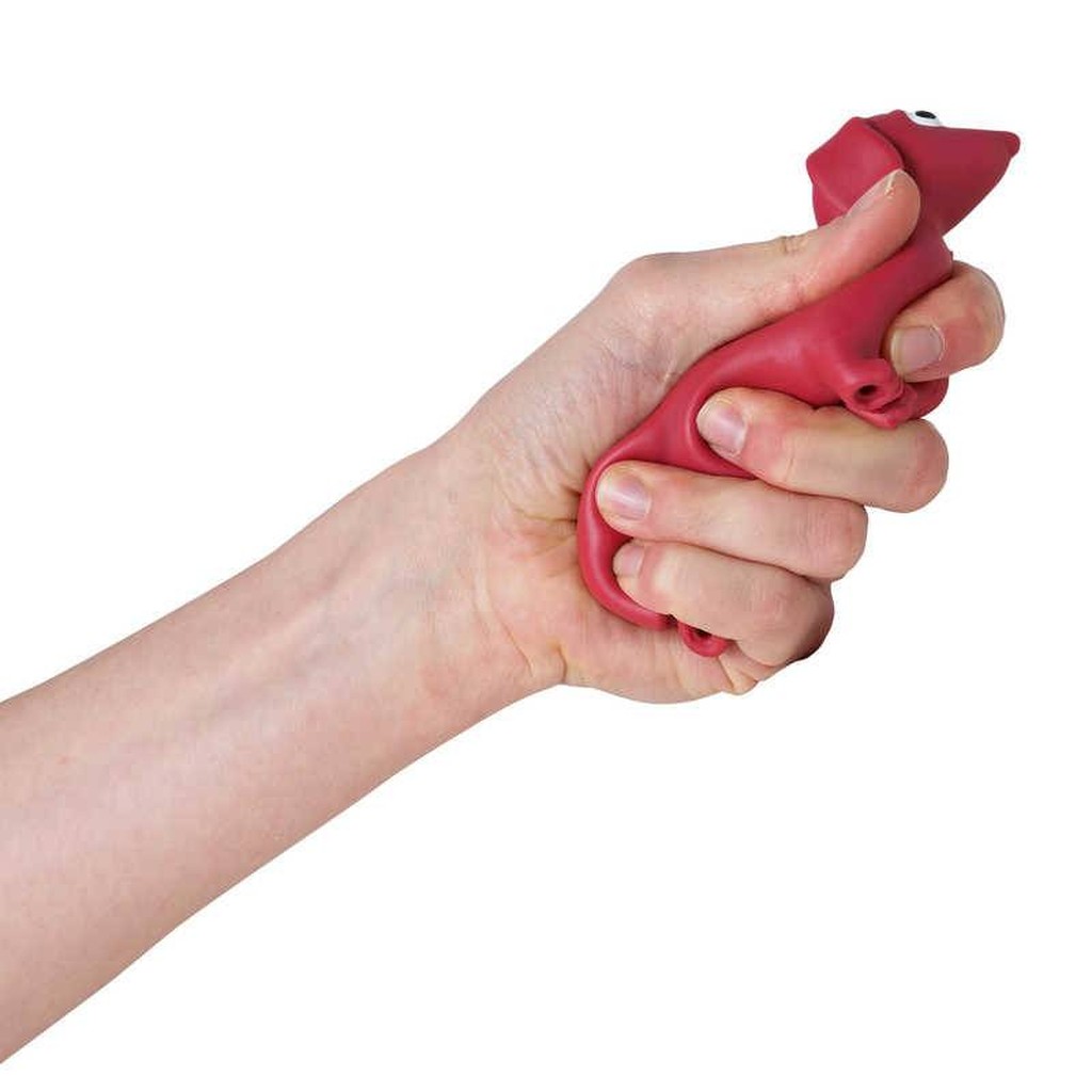 Set di giocattoli antistress Bassotti