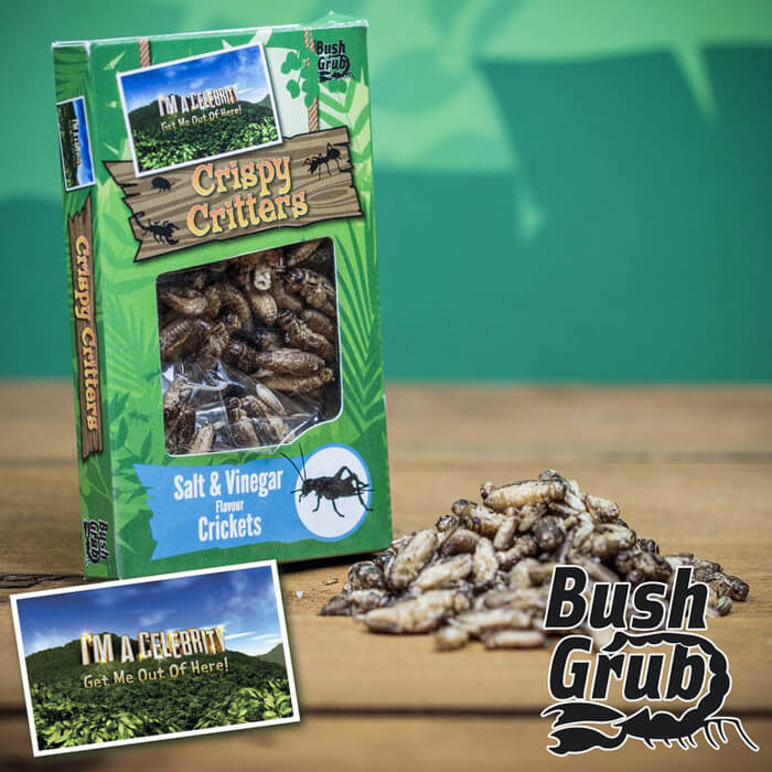 Boîte d'Insectes Comestibles