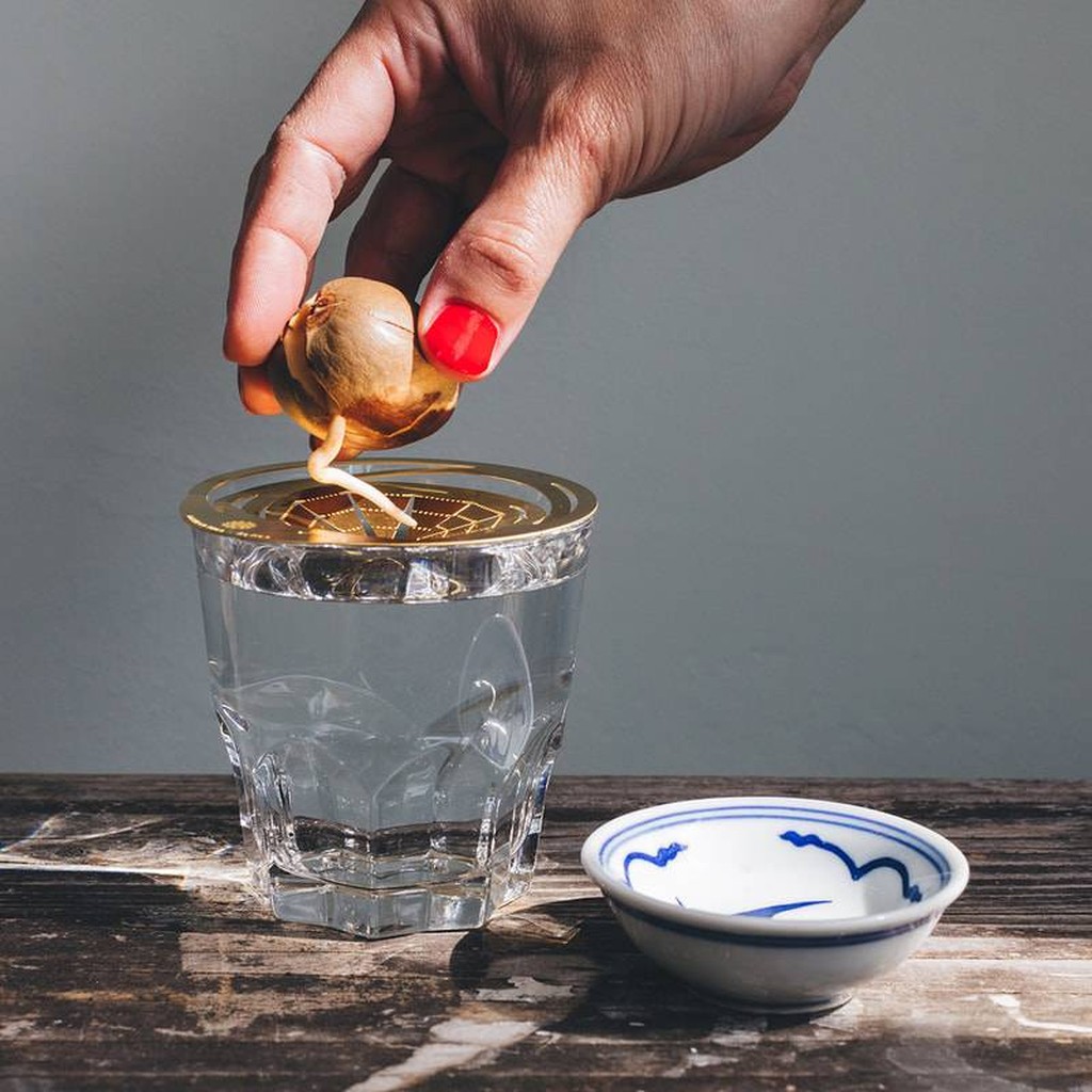 Helios Messing Zucht Scheibe