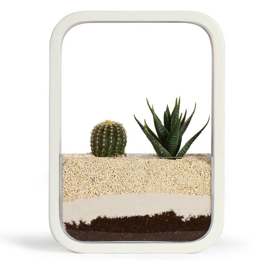 Indoor Garten von Livoo