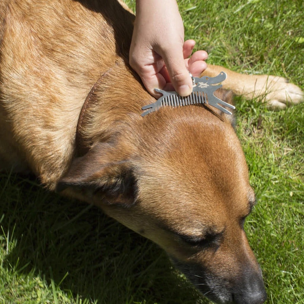 Zecken Entferner Tool von Kikkerland