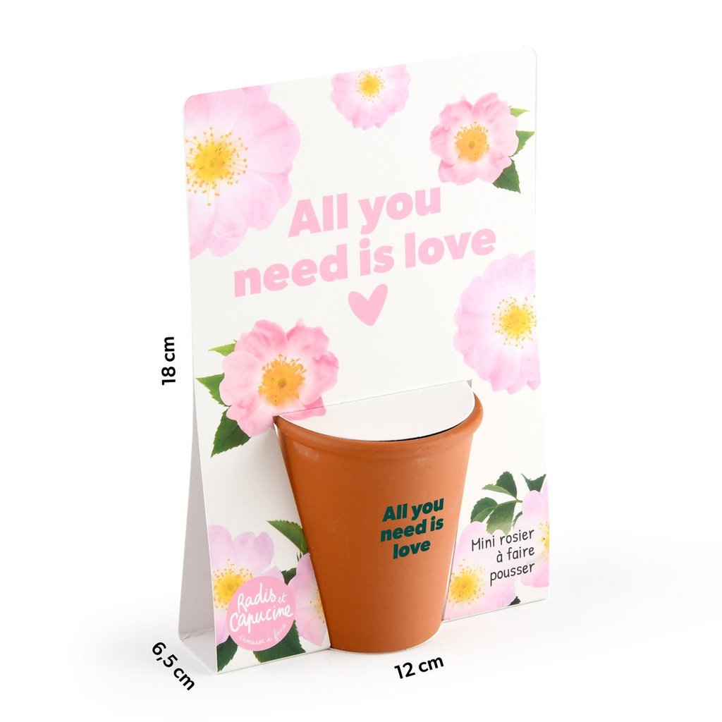 Pflanz-Set Rose All you need is love