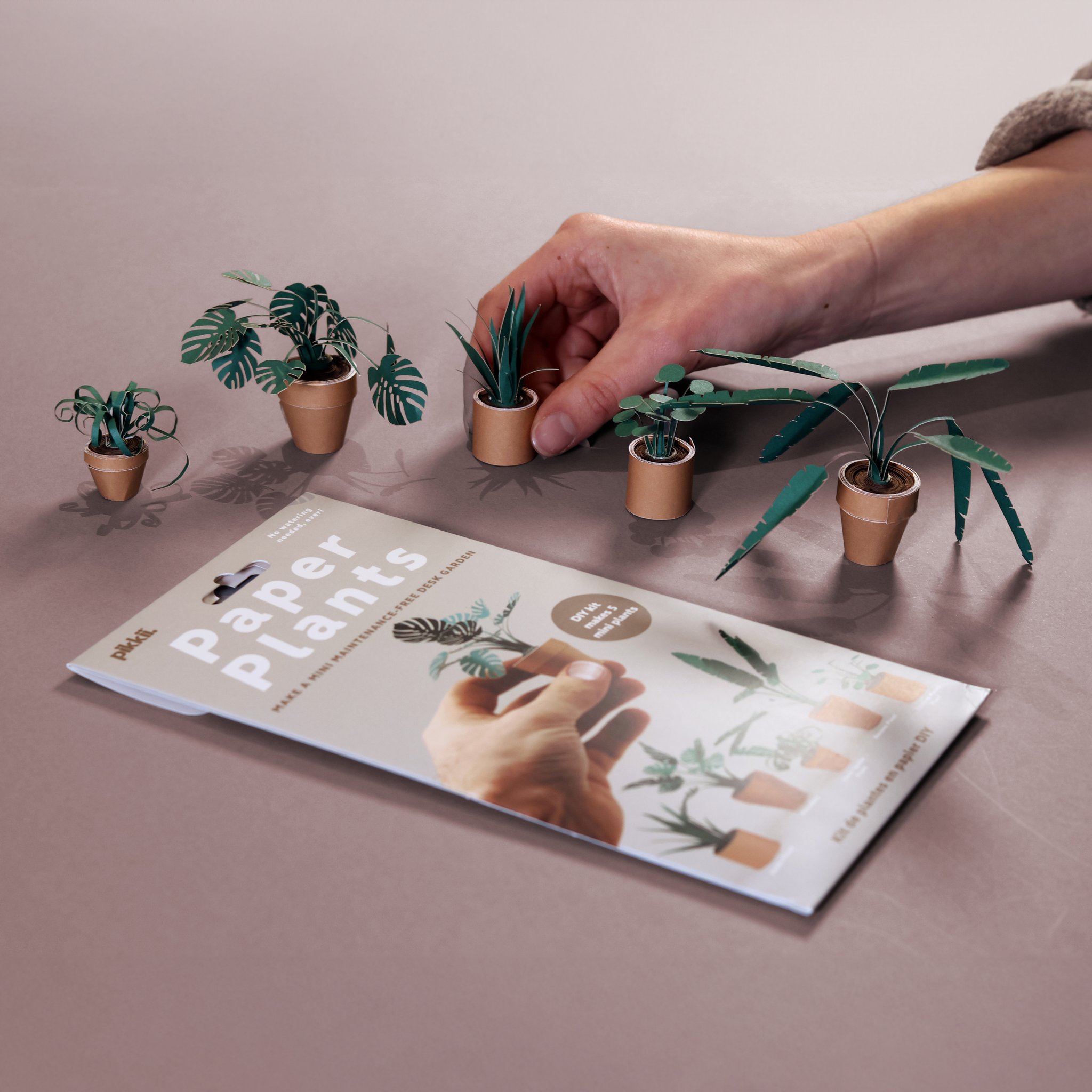 Paper Plants Origami-Set – 5 Mini-Pflanzen (Bild 7)