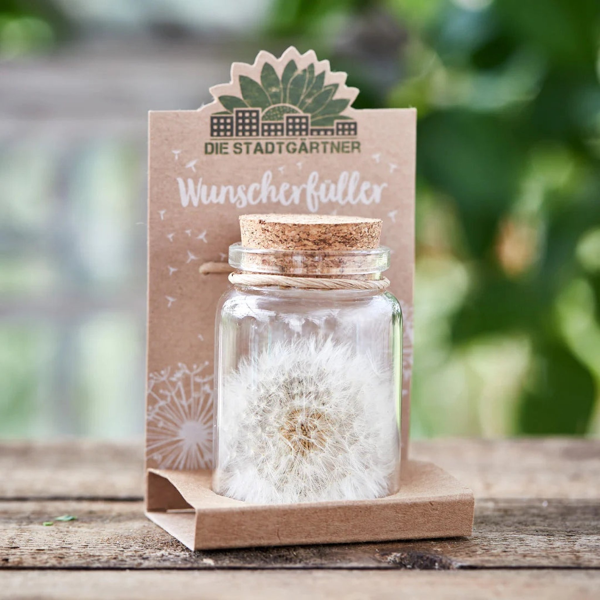 Wunscherfüller mit Pusteblume im Glas mit Korkdeckel auf einem Holzbrett im Garten