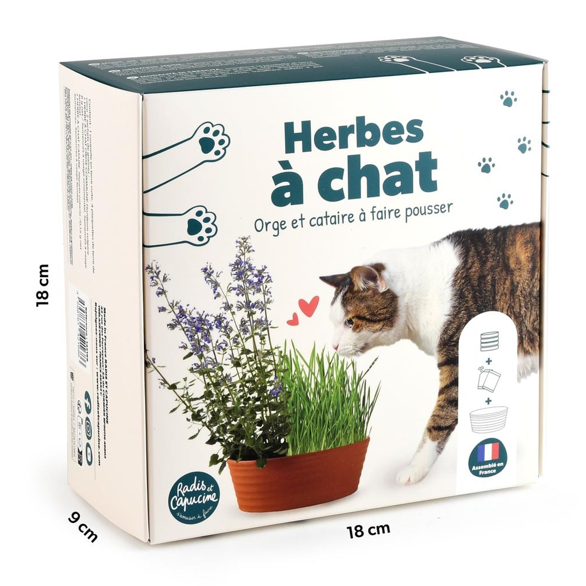 Katzenkräuter-Anzuchtset Abmessungen 18 x 9 x 18 cm