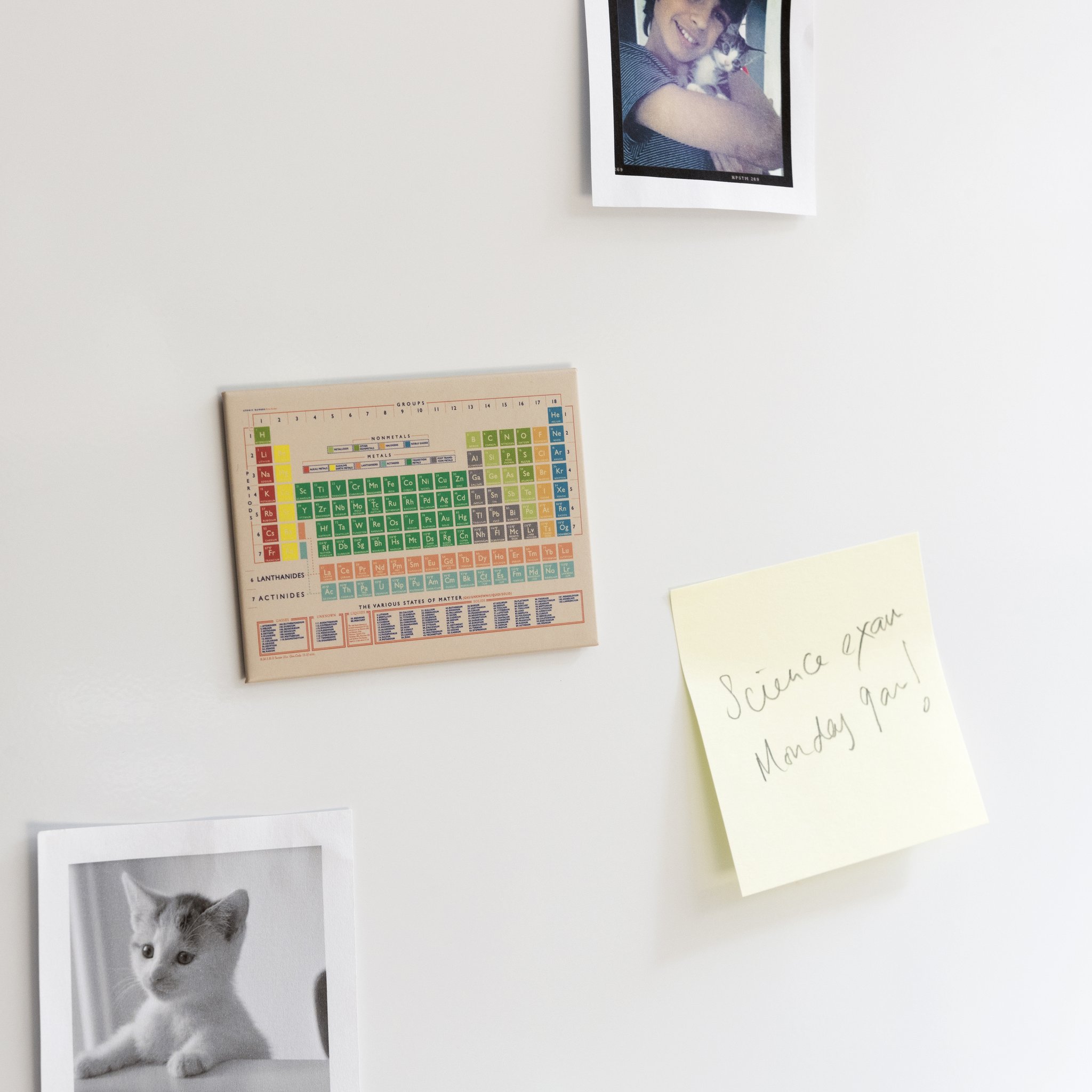 Periodic table magnet on the fridge next to a photo and a 'Science exam Monday' note