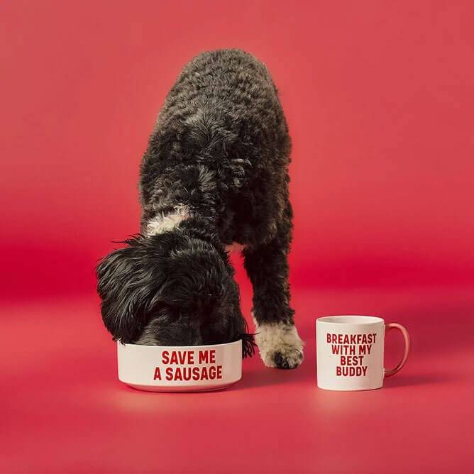 Set Bol pour Chien et Tasse de Petit-Déjeuner