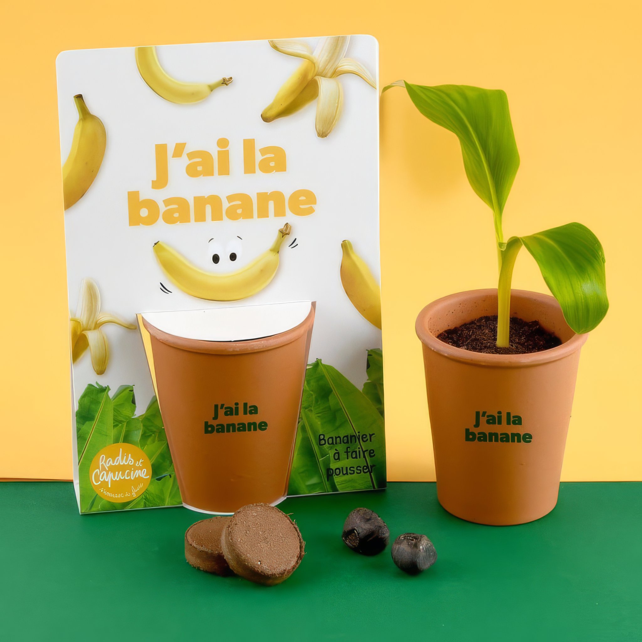 Kit de Plantation Bananier "J'ai la banane"