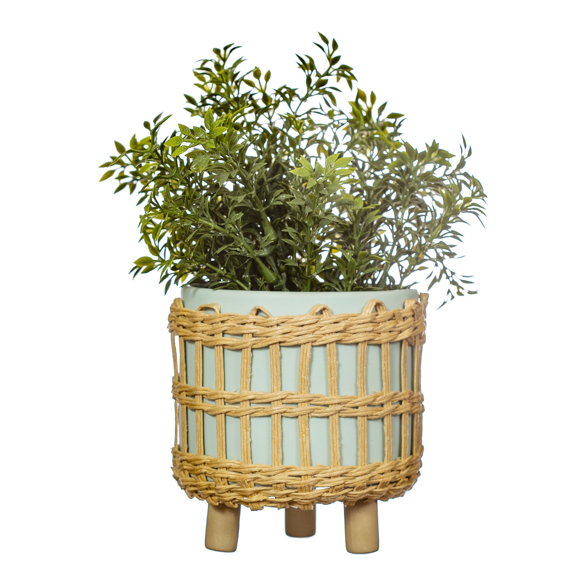 Geflochtener Blumentopf bepflanzt mit Grünpflanze, freigestellt