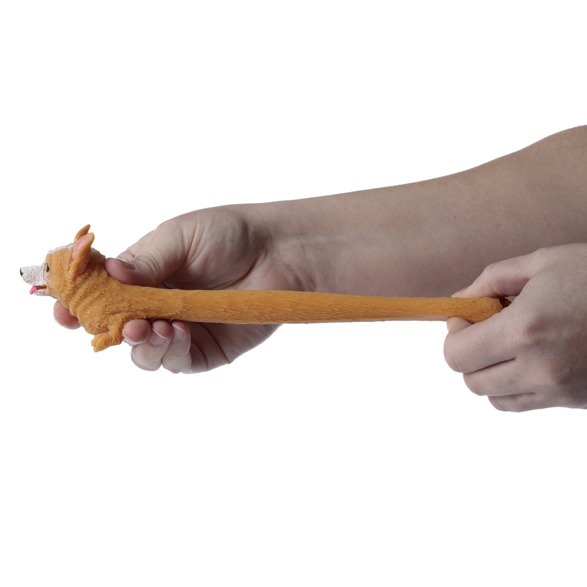 Deux mains etirent la balle anti-stress corgi
