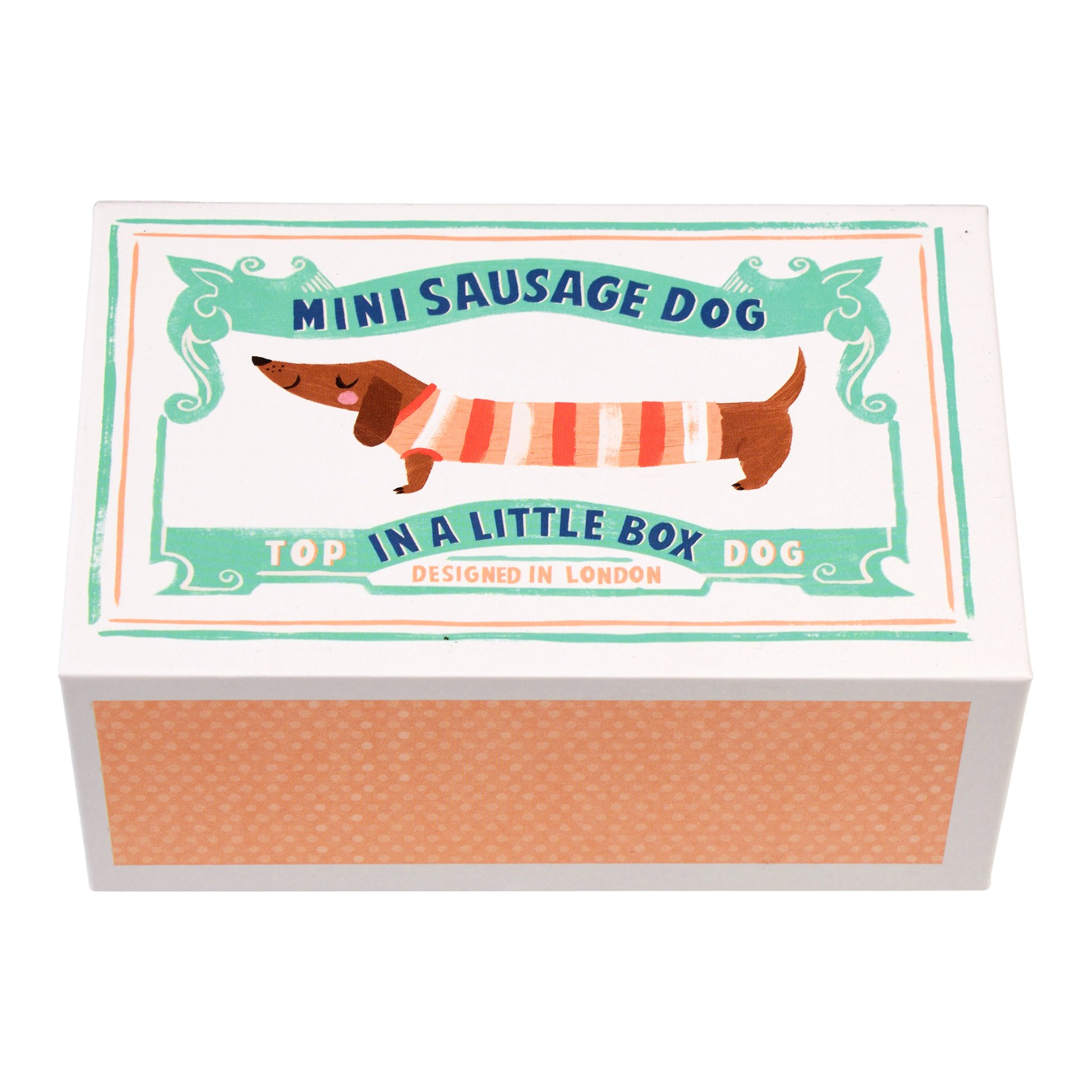 Geschlossene Schachtel des Mini-Dackels mit dem Aufdruck «Mini Sausage Dog in a Little Box»