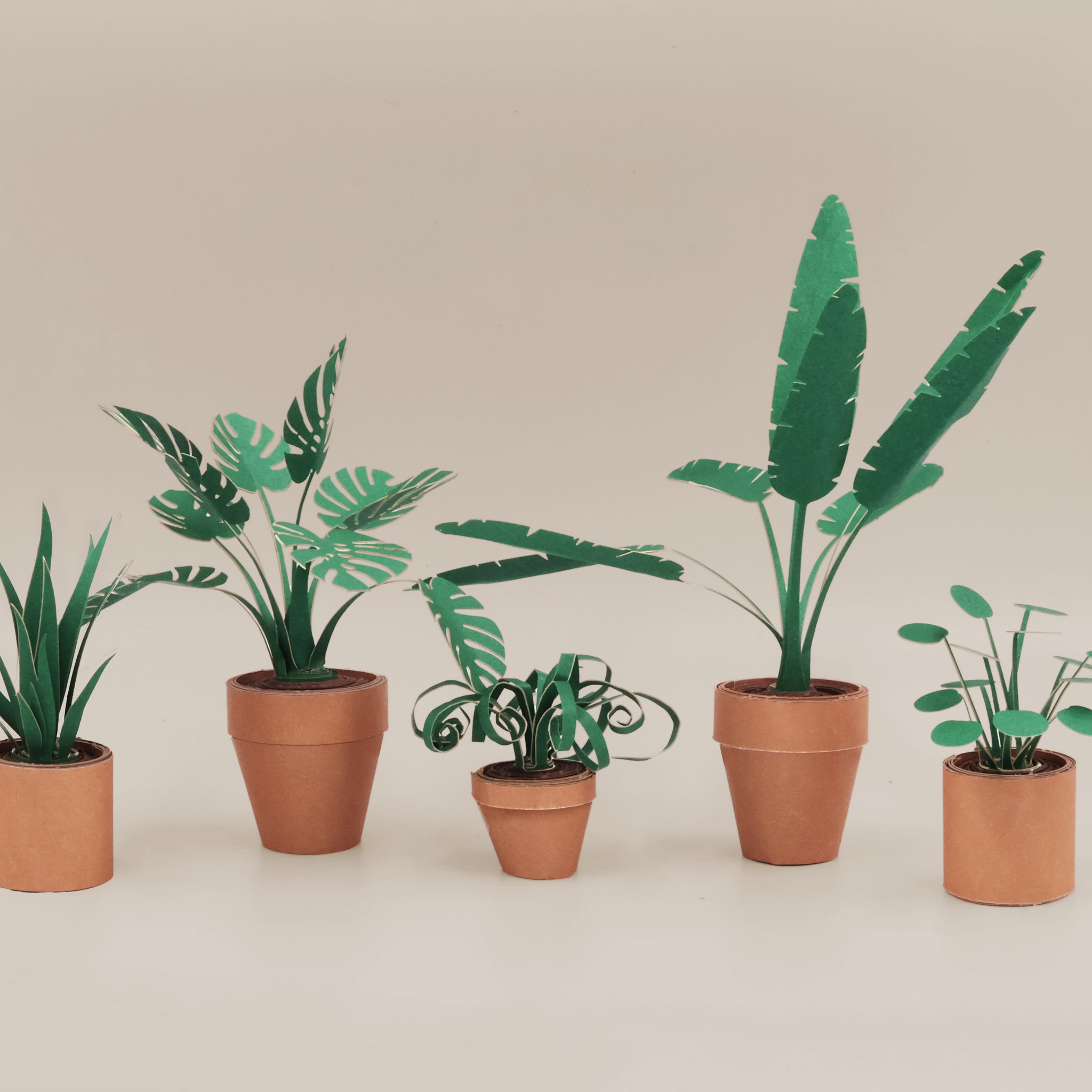 Pikkii Paper Plants Origami Kit – Hand holding finished mini plant, lifestyle