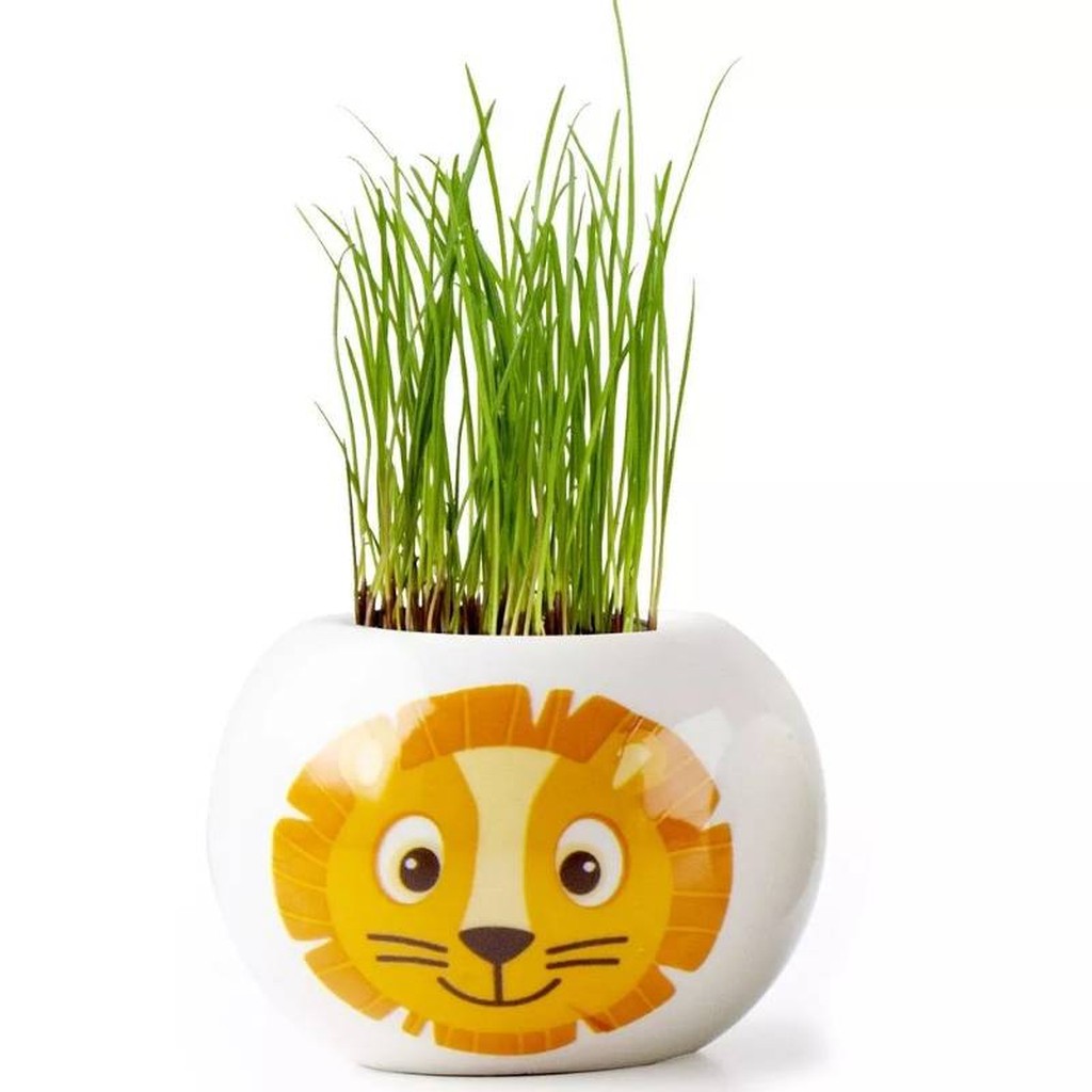 Pflanzset Topf Löwe für Kinder