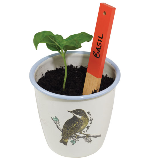 Set 8 Paline Segnafiore in Legno