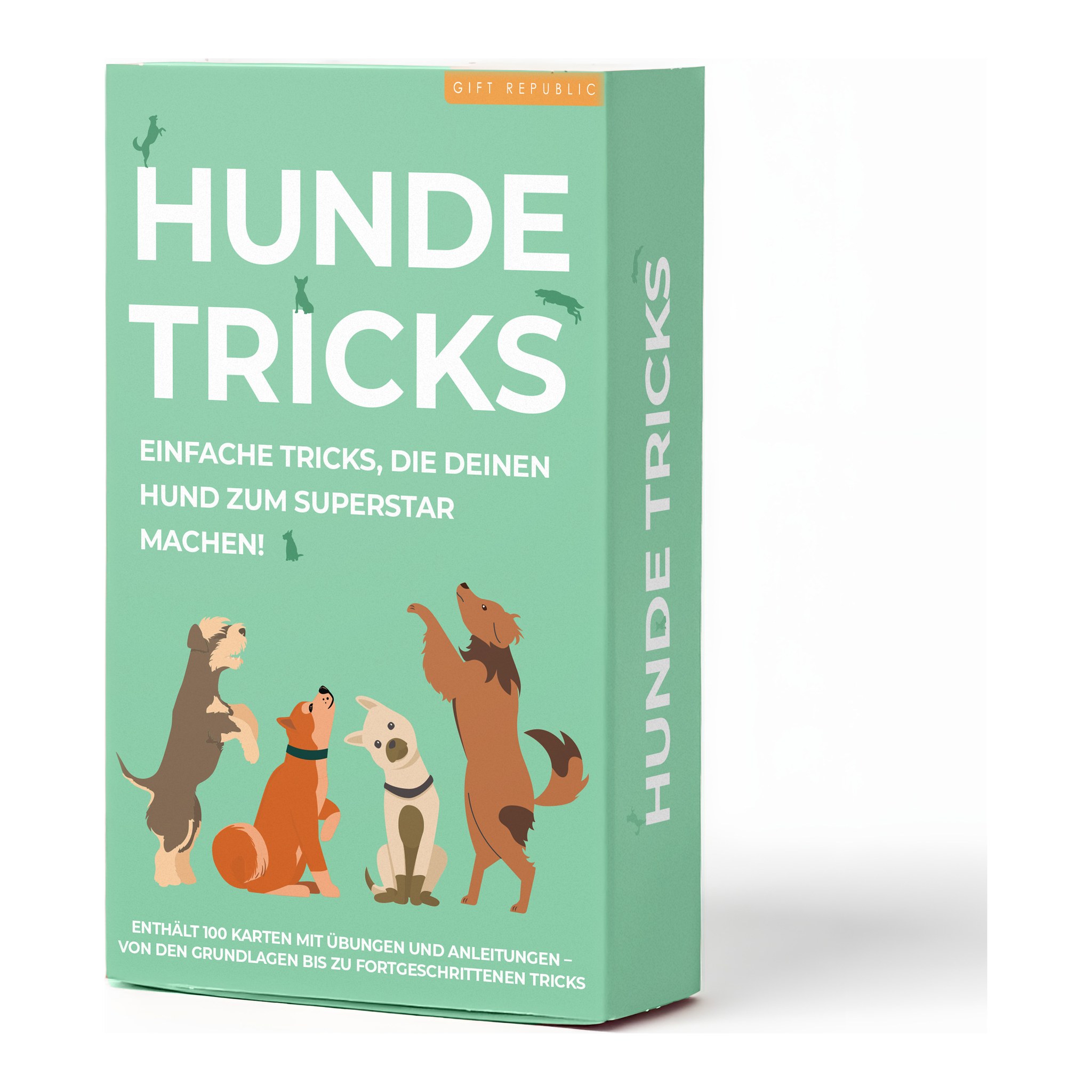 Schachtel Hunde-Tricks mit 100 Karten für Hundetraining