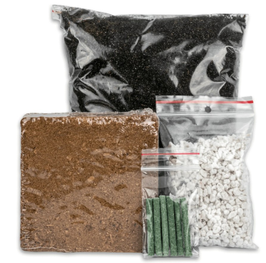 Teeblumen-Garten Anzuchtset