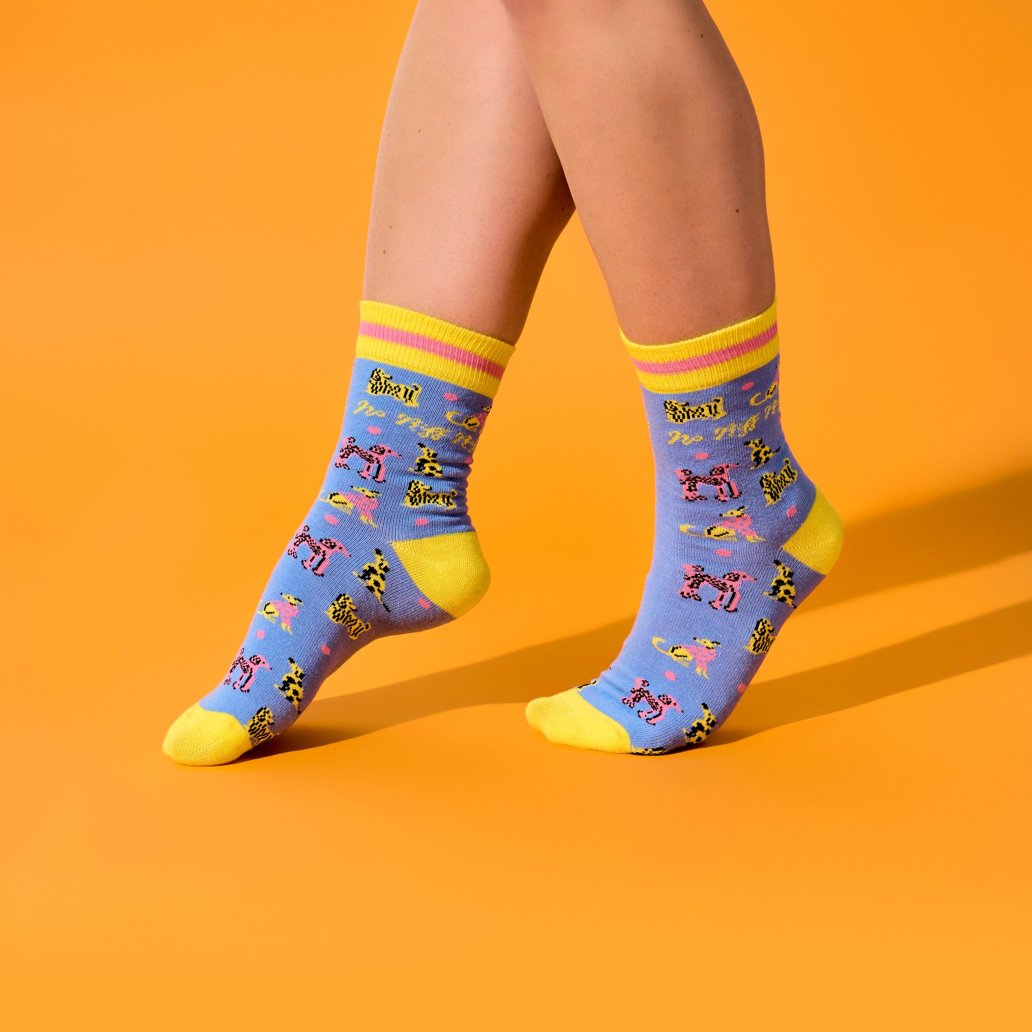 Chaussettes à chiens No Riff Raff portées sur fond orange