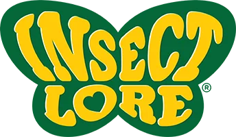 Insect Lore