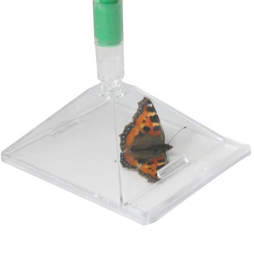 Katcha-Bug Insektenfänger