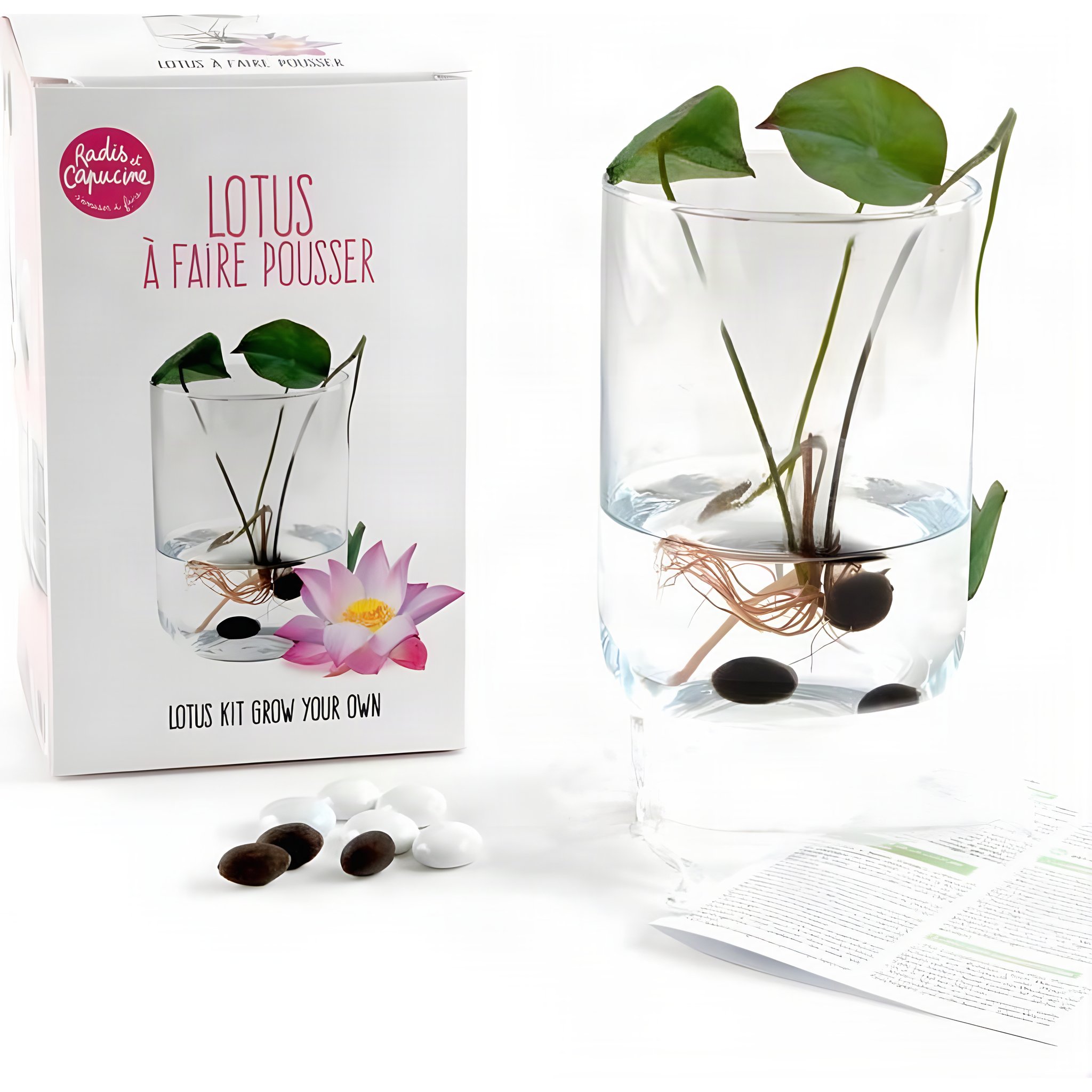 Kit de culture du Lotus