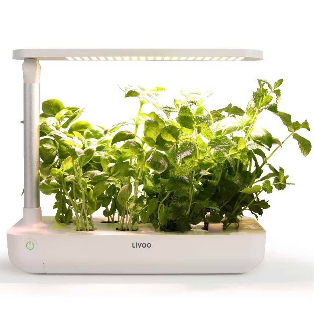 Indoor Gewächshaus von Livoo