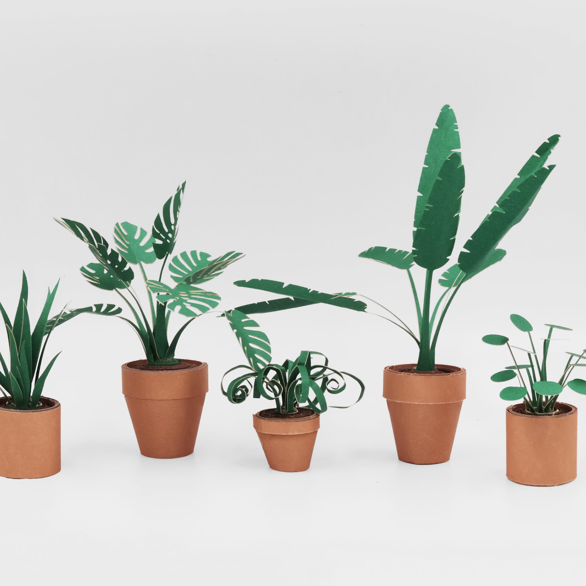 Paper Plants Origami-Set – 5 Mini-Pflanzen (Bild 4)