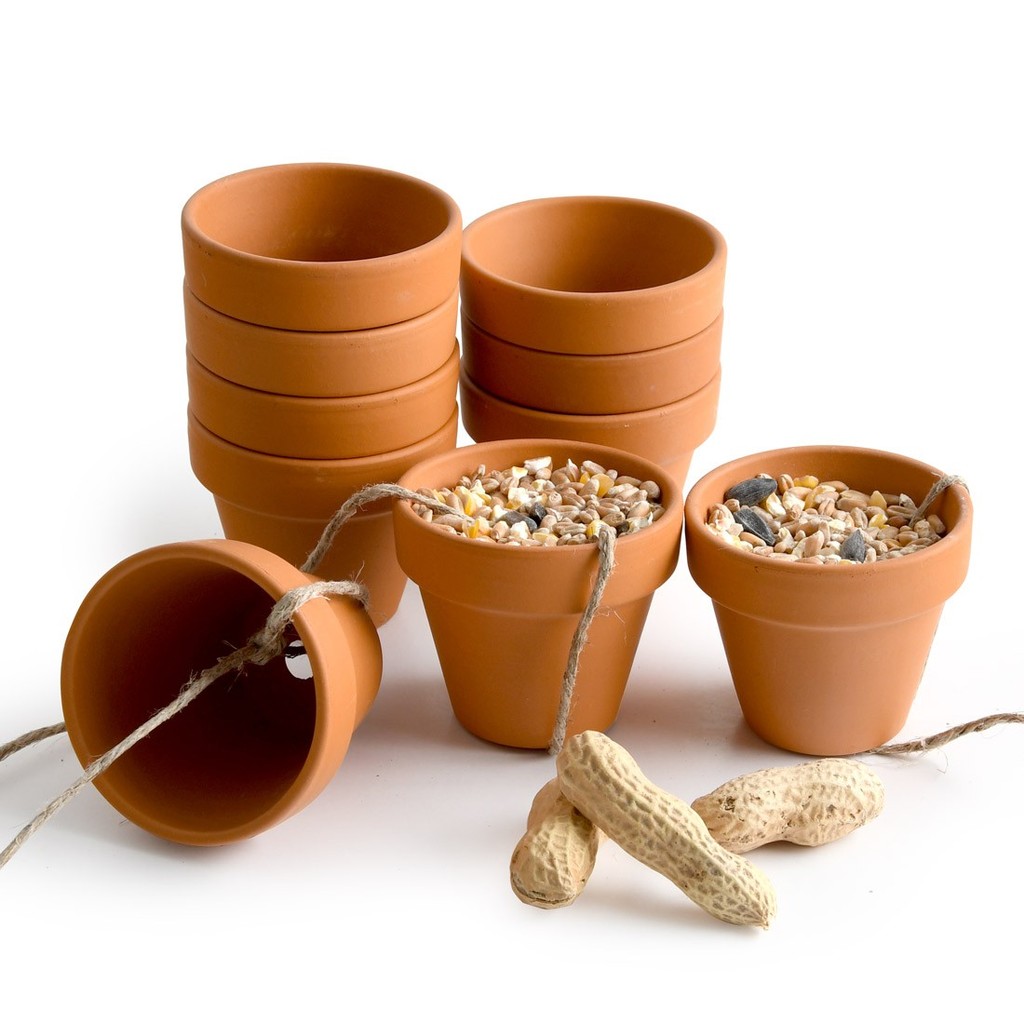 Bird Feeder Craft Kit