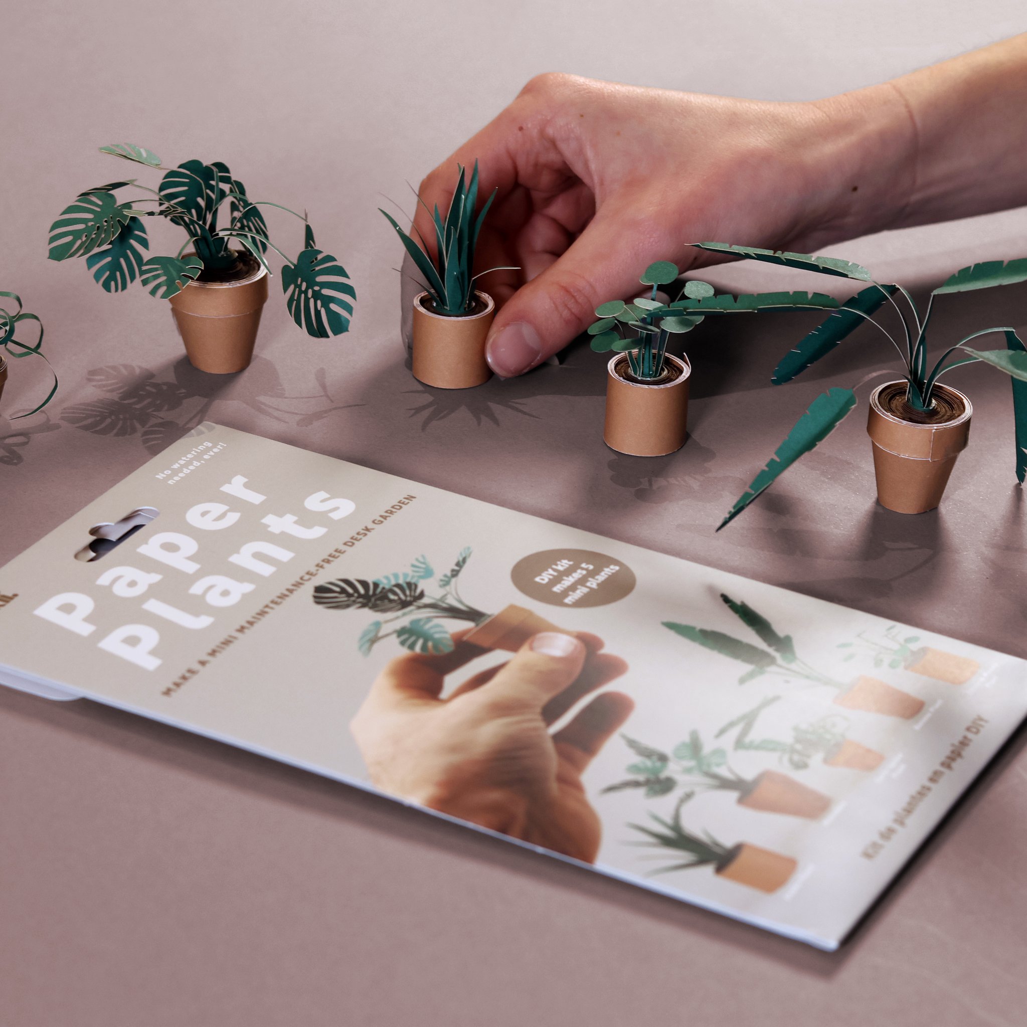 Paper Plants Origami-Set – 5 Mini-Pflanzen (Bild 2)