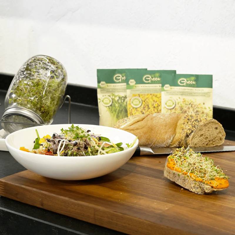 Kit de graines à germer Gourmet 3 pièces