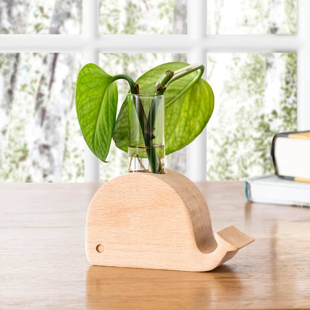 Wal Vase von Kikkerland