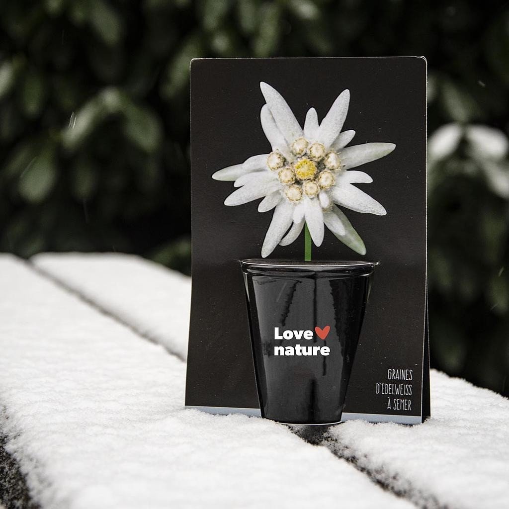 Edelweiss Pflanz-Set