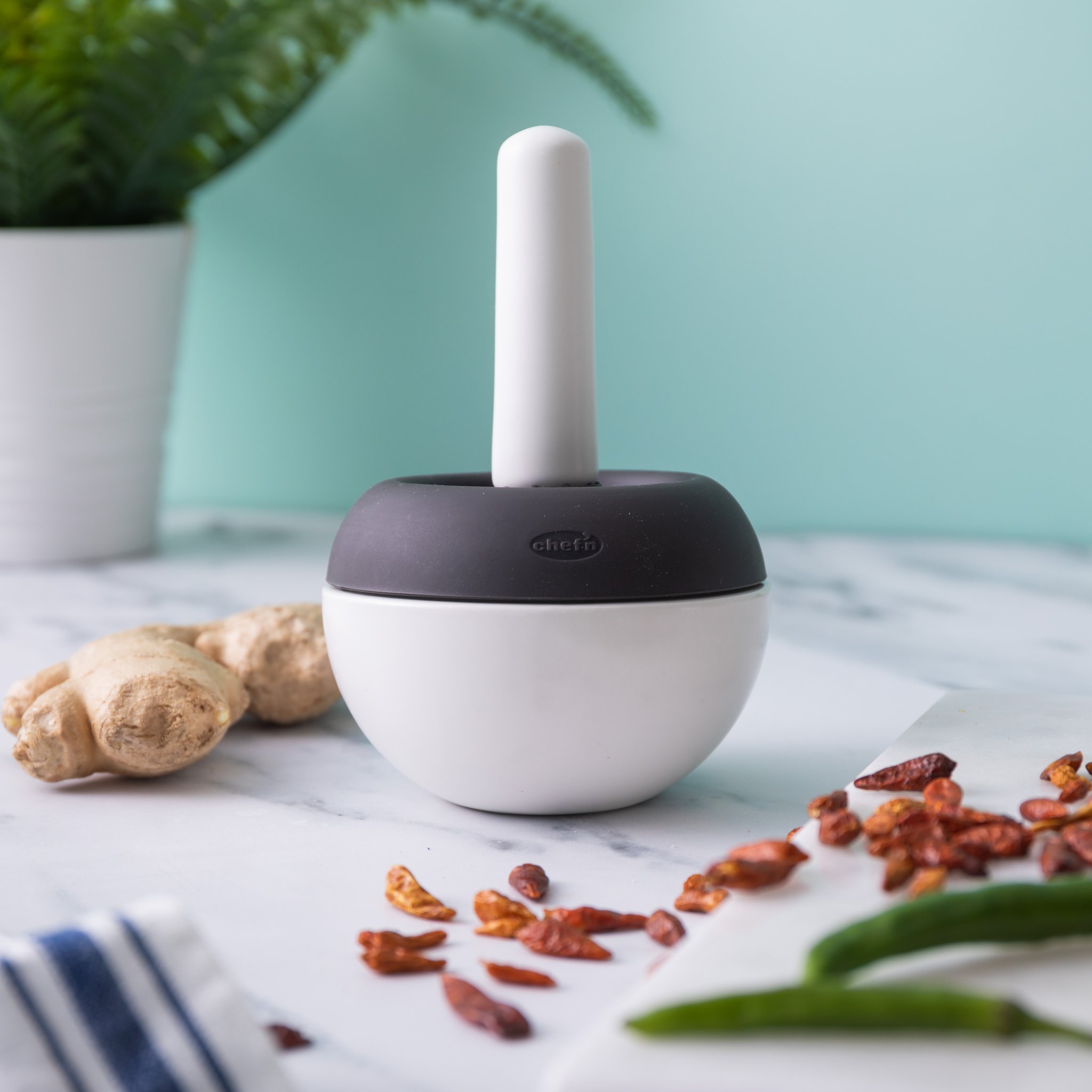 Mörser Spiceball auf Marmor mit Ingwer, getrockneten Chilis und Pflanze im Hintergrund