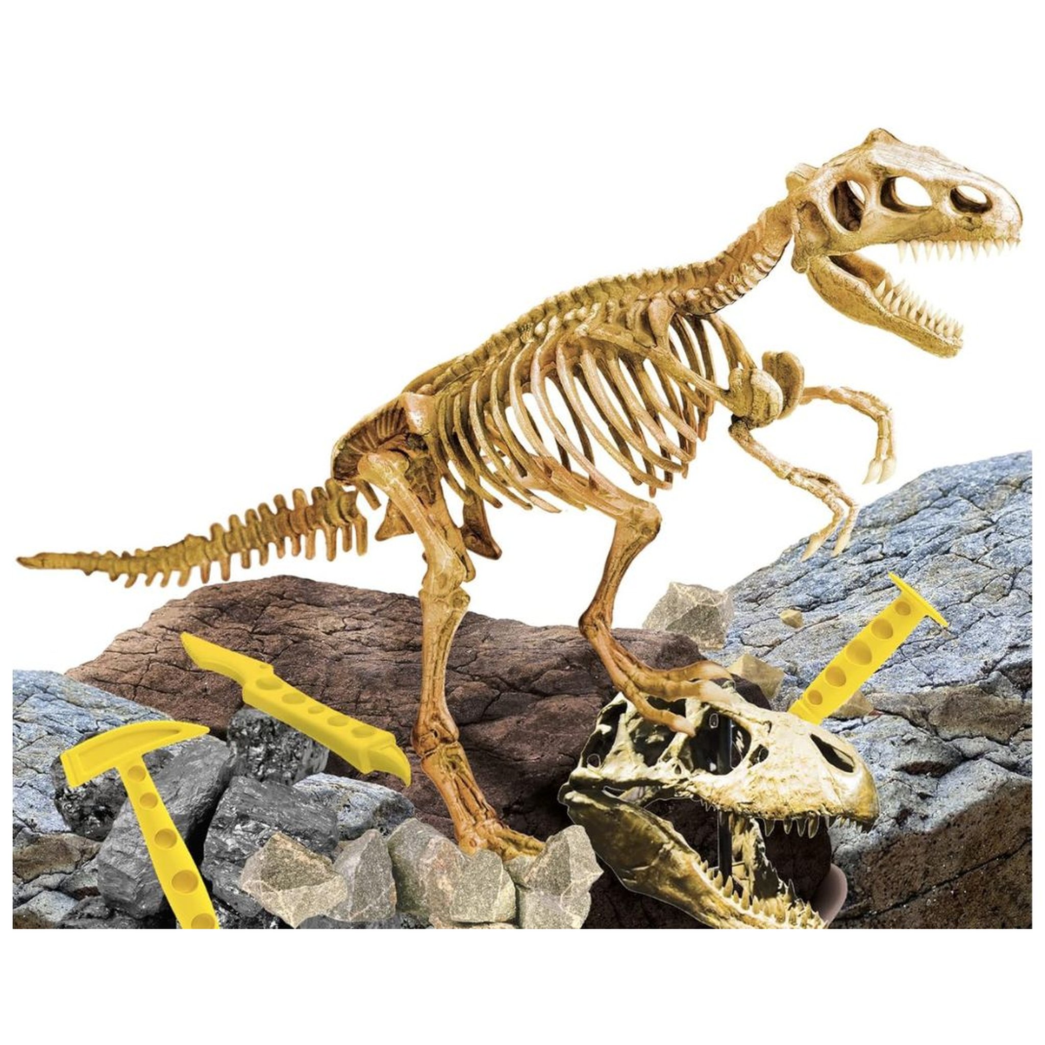 T-Rex Ausgrabungsset Skelett