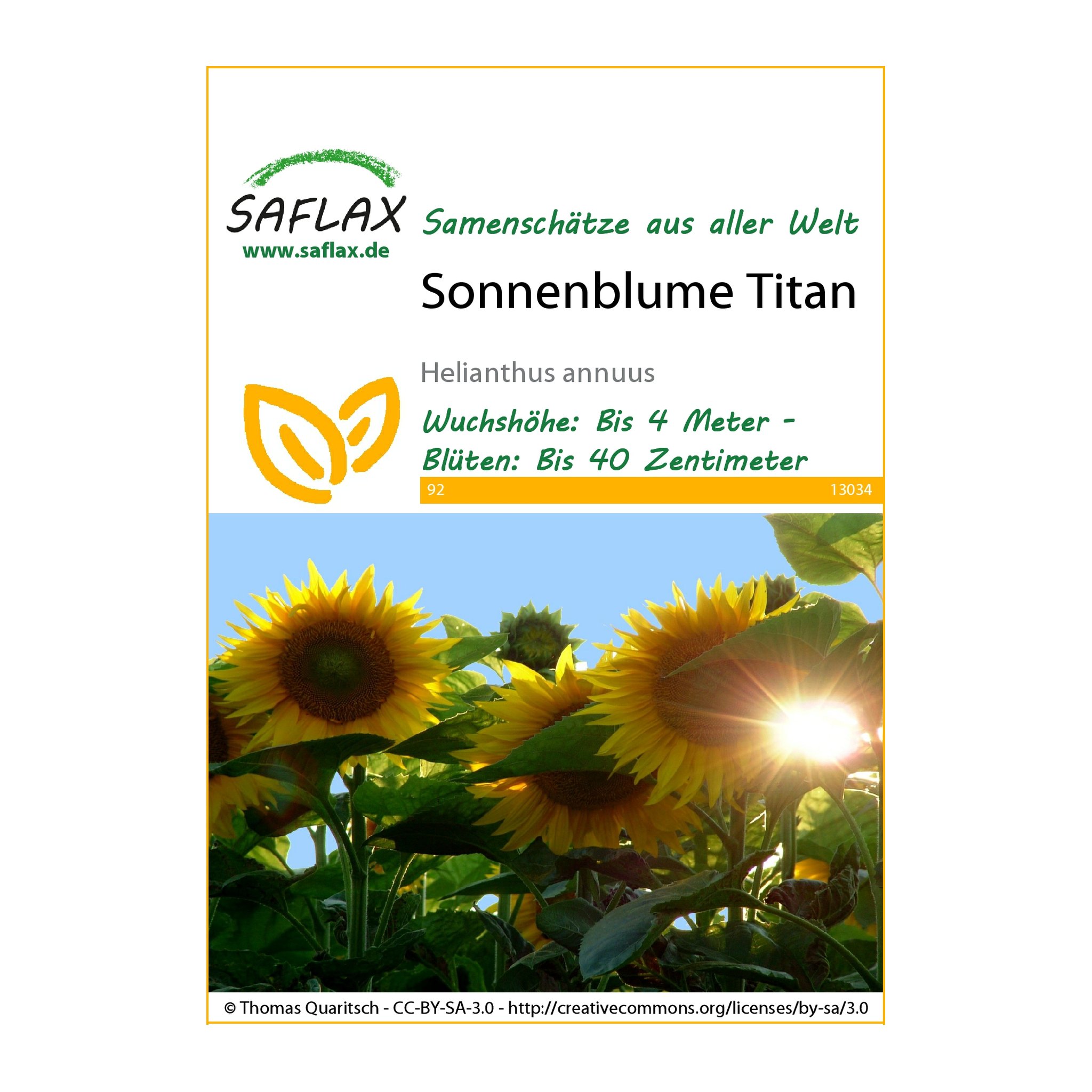 Samentüte Sonnenblume Titan von Saflax, Vorderseite