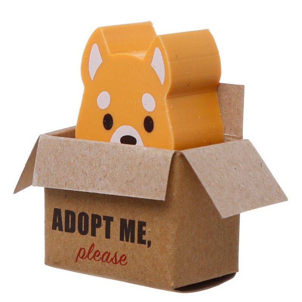 Hunde-Radiergummi-Set