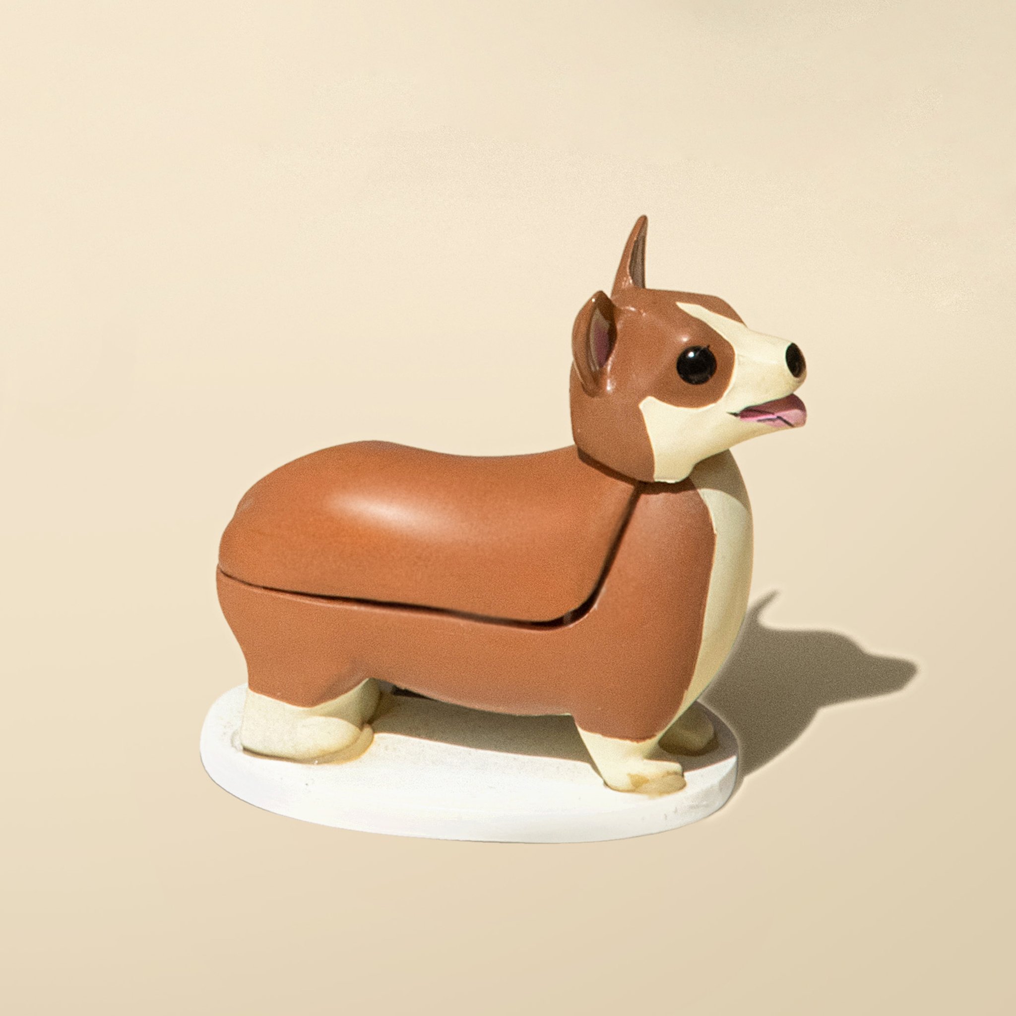 Solar-Corgi Elroy auf beigem Hintergrund