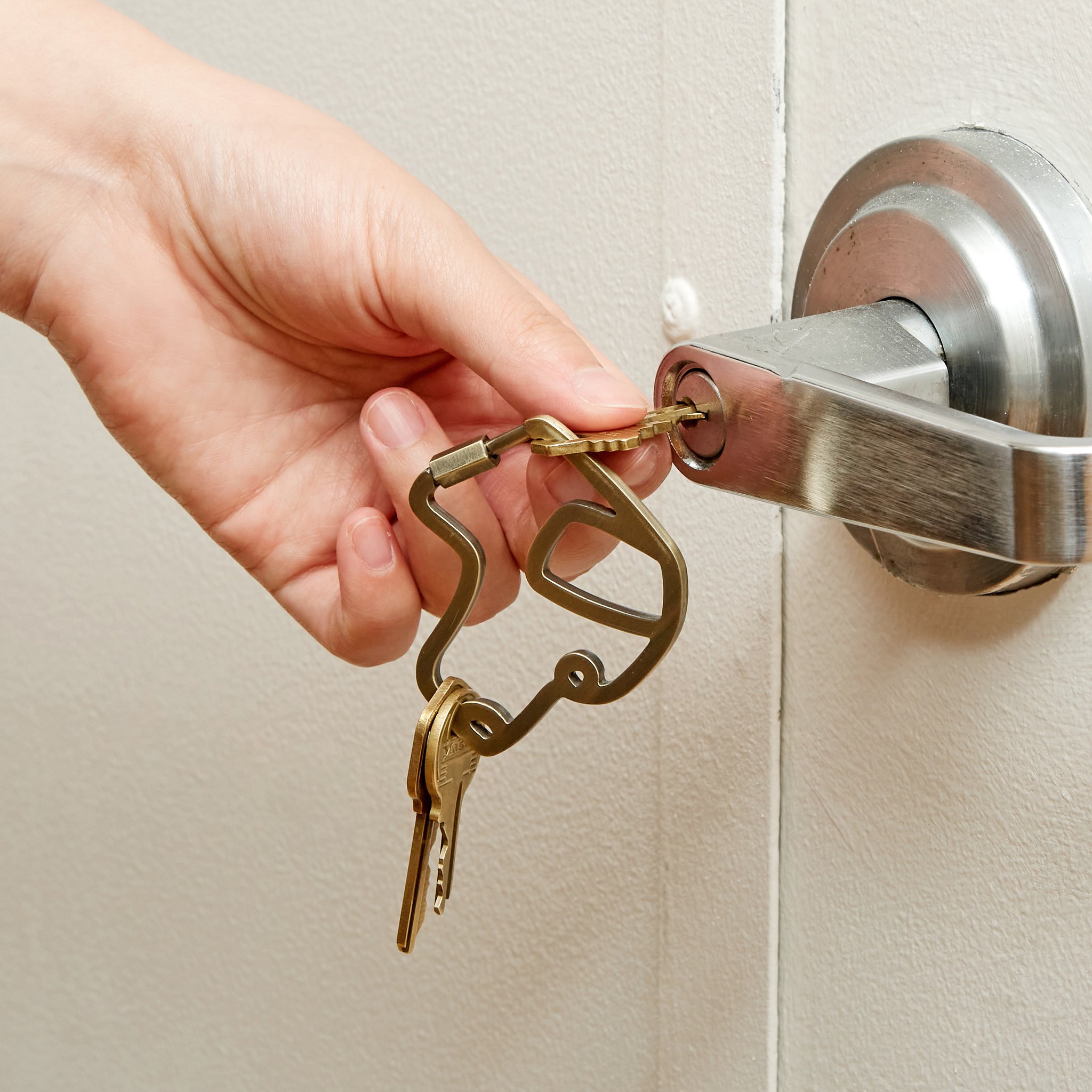 Main ouvrant la porte avec le porte-clés chien