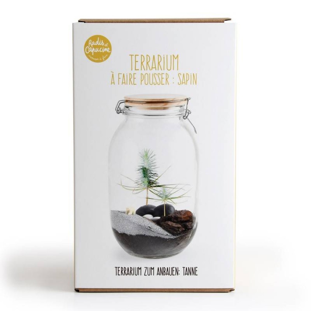 DIY Terrarium Weihnachtsbaum