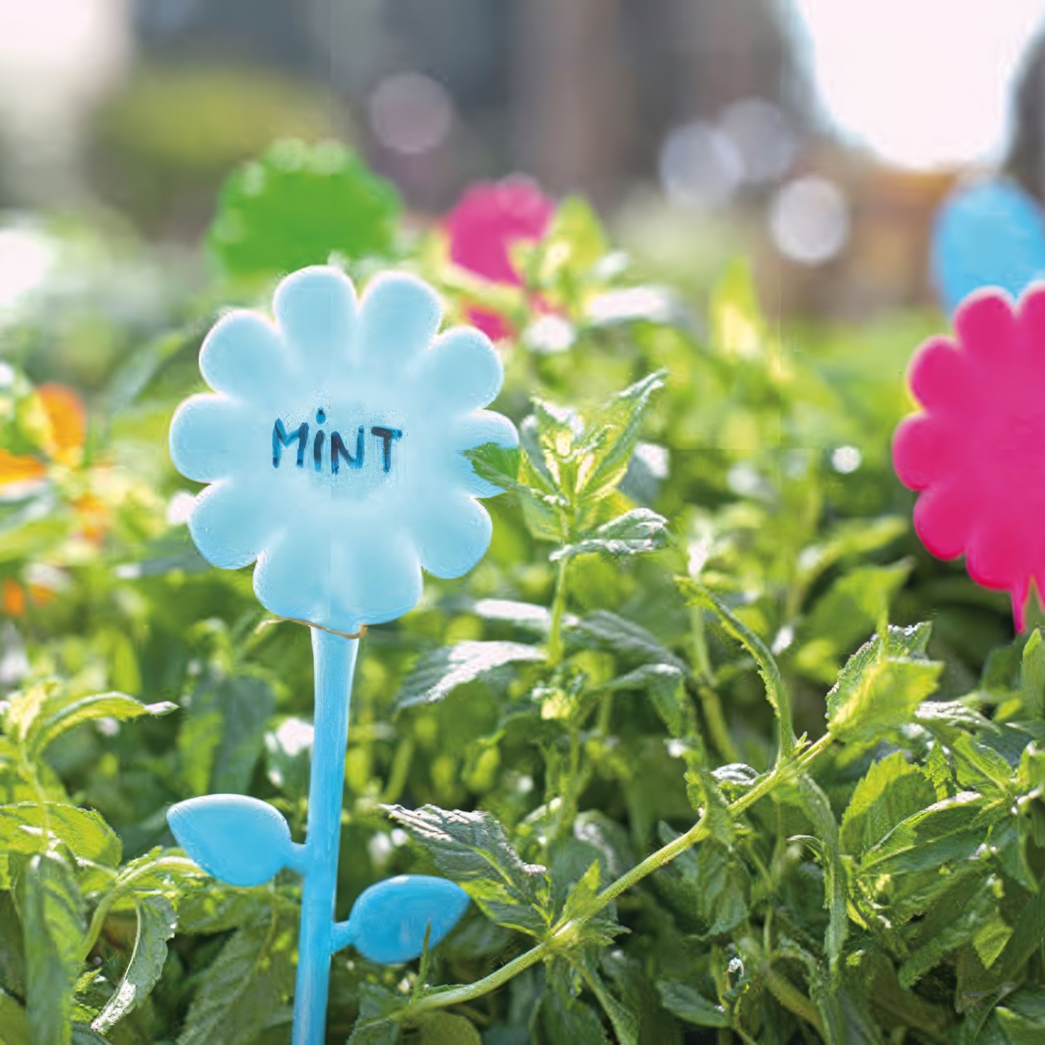 Set of 12 Plant Markers Vigar
